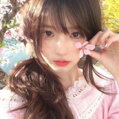 小老鼠历险记